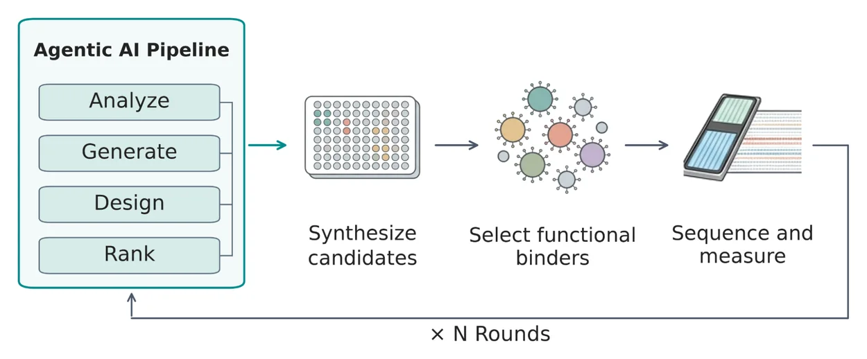 Conceptual closed-loop workflow returns experimental measurements to the agent pipeline across multiple rounds. It contains no numerical performance results or evidence that all steps run without human involvement.
