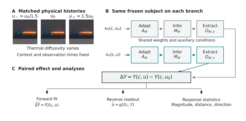 Figure 1 from MultiEcho: An Experimental Science of Learned Worlds