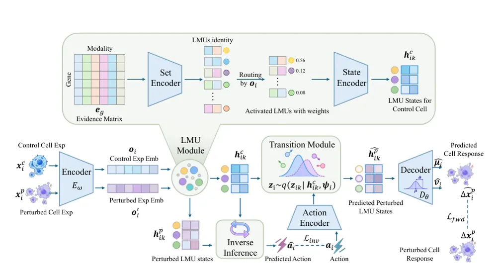 Figure 1 from VCLMU: Mechanism-Centric Virtual Cell World Modeling for Perturbation Response