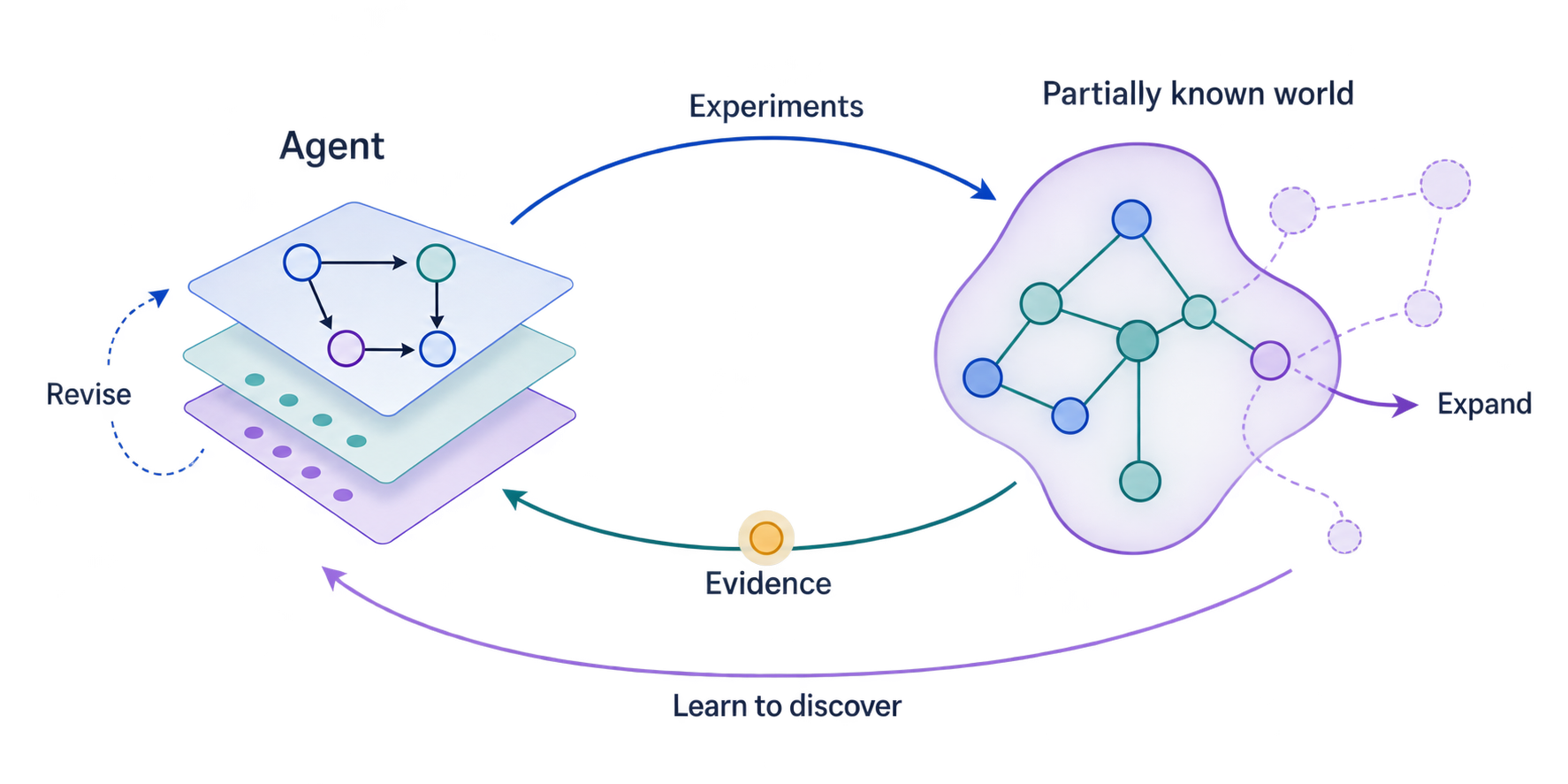 Our discovery framework: an agent experiments in a partially known world, gathers evidence, revises its hypotheses, expands its knowledge, and learns to discover.